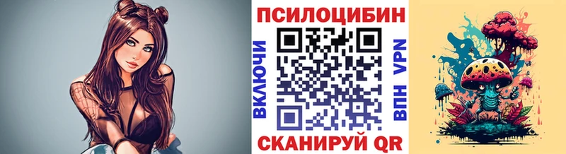 Галлюциногенные грибы Psilocybe Орск