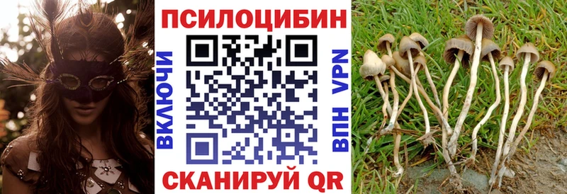 гидра ссылка  Орск  Галлюциногенные грибы мухоморы 